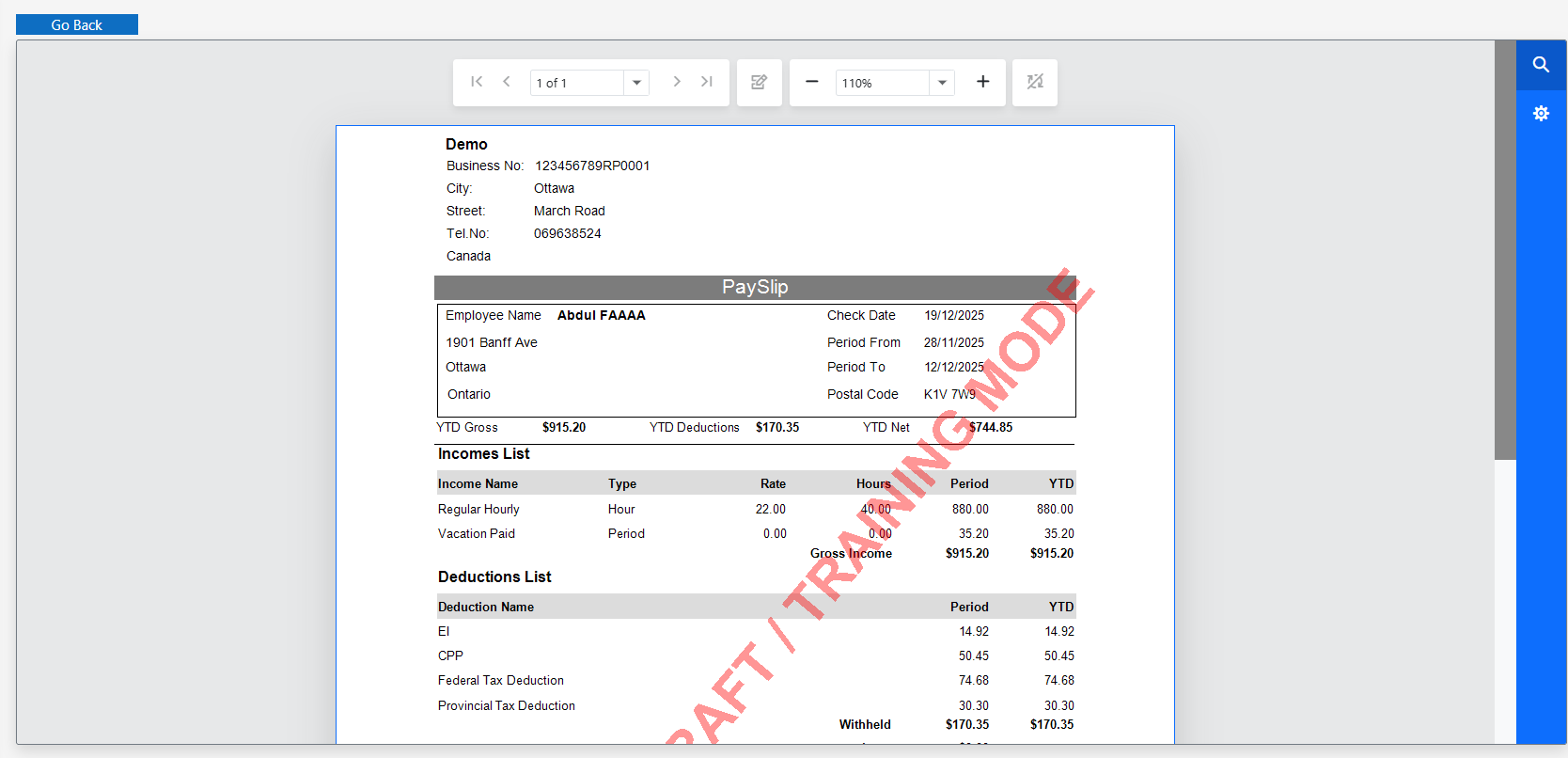 Payslip preview / printable view