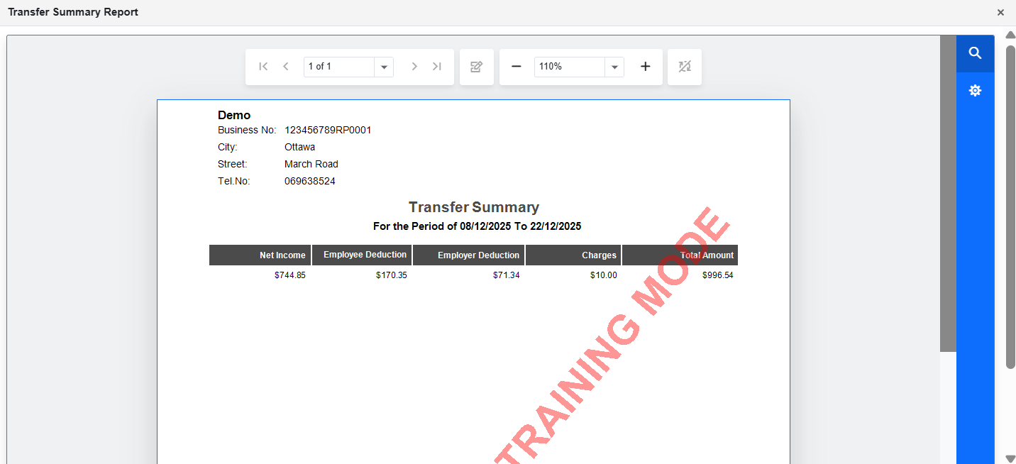 Transfer summary report